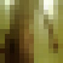 ���������� �������, ���� ������� �������, 31 ���, ������������ 