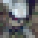 ���������� ���������, ���� ������� ��������, 43 ����, ������������ 