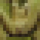 ���������� �����, ���� ������� ������, 33 ����, ������������ ��� ���������