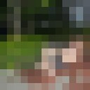  ,   , 37 ,   ,   , 