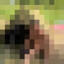  ,   , 60 ,   ,   