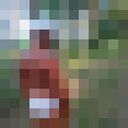 ���������� �������, ���� ������� ������, 47 ���, ������������ ��� ����� � ���������, c�������� ���������