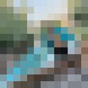 ���������� �������, ���� ������� ��������, 26 ���, ������������ ��� ������, ����� � ���������