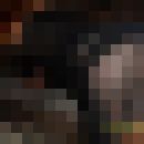  ,   Raspberry, 38 ,   , 