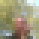 ���������� ������, ���� ������� �����, 44 ����, ������������ ��� ����� � ���������, c�������� ���������