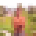  -,   , 36 ,   ,   , c 