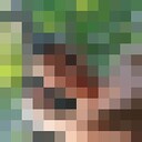 ���������� ������, ���� ������� ������, 30 ���, ������������ ��� ������, ����� � ���������