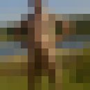  ,    , 47 ,   , 