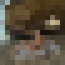 ���������� ��������, ���� ������� �����, 27 ���, ������������ ��� ������, ����� � ���������