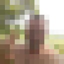 ���������� �����-���������, ���� ������� ���������, 61 ���, ������������ ��� ����� � ���������, c�������� ���������