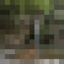  ,   , 31 ,     , c 