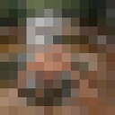 ���������� ������, ���� ������� �����, 38 ���, ������������ ��� ������, ����� � ���������, c�������� ���������, ���������