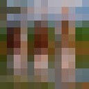 ���������� ����, ���� ������� �����, 39 ���, ������������ ��� ������, ����� � ���������