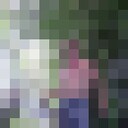  ,   , 46 ,   c , 