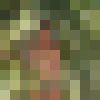  ,   Potap696, 56 ,   ,   , c , 