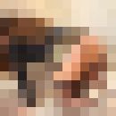  ,   , 34 ,   ,   , c 
