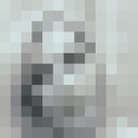 ���������� ������, ���� ������� ���������, 48 ���, ������������ 