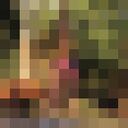 ���������� �����, ���� ������� ����, 21 ���, ������������ ��� ������, ����� � ���������