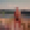  ,   , 55 ,   c 