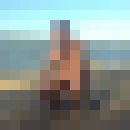  ,   Ewist, 40 ,   