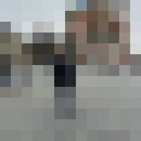 ���������� ���, ���� ������� �����, 41 ���, ������������ ��� ������, ����� � ���������