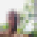 ���������� ���������, ���� ������� ����, 40 ���, ������������ ��� ������, c�������� ���������