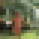  -,   , 61 ,   ,   , 