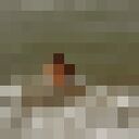 ���������� �����, ���� ������� Den, 40 ���, ������������ ��� ������