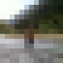  ,   Davita, 36 ,   ,   , c 