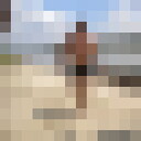  --,   , 58 ,   ,   