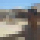 ���������� ����, ���� ������� Nihad, 36 ���, ������������ ��� ������, ����� � ���������, c�������� ���������