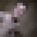 ���������� ����, ���� ������� �����, 26 ���, ������������ ��� ������, ����� � ���������, c�������� ���������