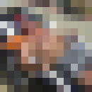  ,   Ofizuzer, 49 ,   ,   , c 