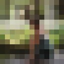 ���������� ������, ���� ������� ���������, 30 ���, ������������ ��� ������, ����� � ���������, c�������� ���������