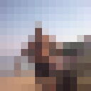  ,     , 62 ,   ,   