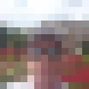  ,   , 56 ,  