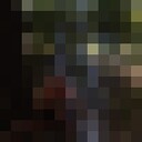  ,   , 50 ,   ,   
