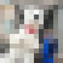  ,   , 51 ,   ,   , 