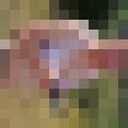 ���������� ������, ���� ������� �������, 39 ���, ������������ 