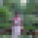  ,   , 57 ,   c 