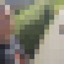  ,   Pika, 29 ,   ,   , c , 