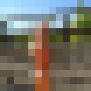 ���������� �������, ���� ������� ������, 47 ���, ������������ ��� ����� � ���������, c�������� ���������