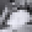 ���������� ��������, ���� ������� ������, 23 ����, ������������ ��� ������, ����� � ���������