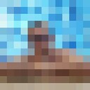  ,   Tigr, 28 ,   ,   