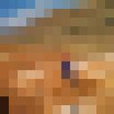 ���������� �������, ���� ������� �����, 37 ���, ������������ ��� ������, ����� � ���������