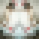      ,   __, 32 ,   ,   , c 