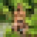  ,   , 32 ,   ,   , c 