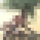  ,   DIMATI, 44 ,   ,   , c 