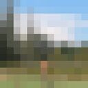 ���������� �������, ���� ����� ����, 25 ���, ������������ ��� ������, ����� � ���������