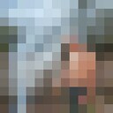   ,   , 53 ,   c 